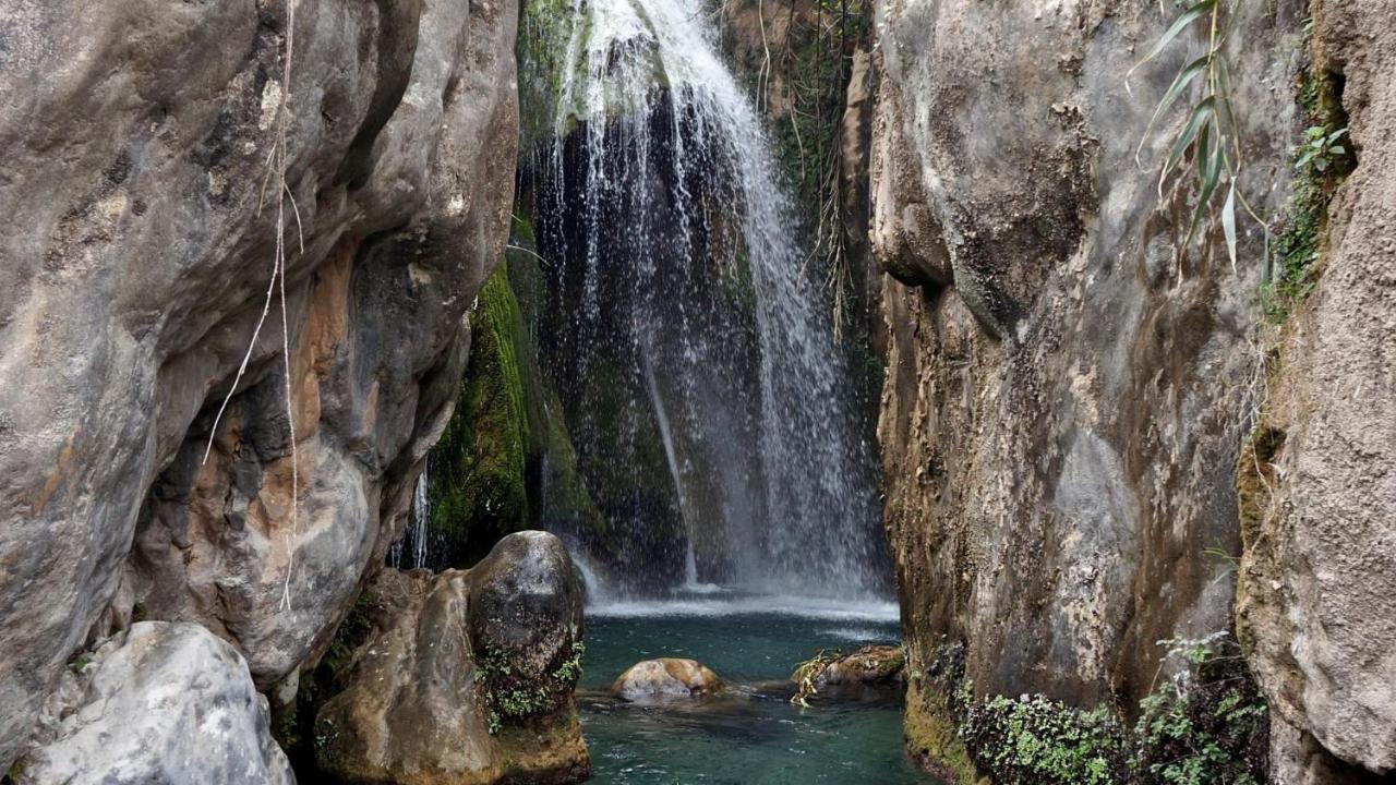 Penzion La Colina De Charly Benimantell Exteriér fotografie